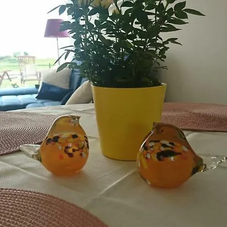 Beachbirdy * بارنو