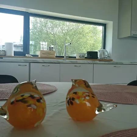 Beachbirdy شقة